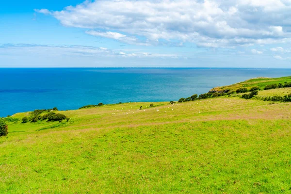 Gyönyörű Táj Nagy Orme Félszigeten Llandudnóban Walesben — Stock Fotó