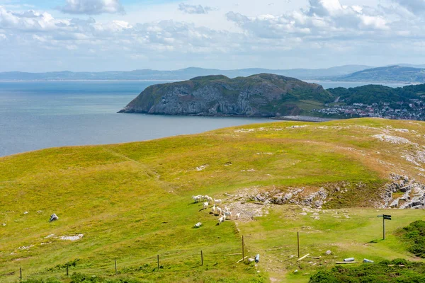 Vista Desde Promontorio Great Orme Llandudno Gales — Foto de Stock