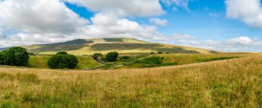 Yorkshire Dales, North Yorkshire, İngiltere 'deki güzel kırsal manzaranın geniş panoramik manzarası