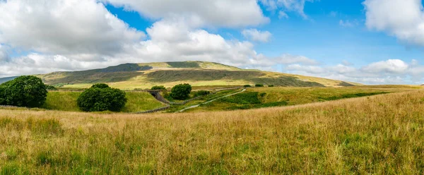 Široký Panoramatický Pohled Krásnou Venkovskou Krajinu Yorkshire Dales Severní Yorkshire — Stock fotografie