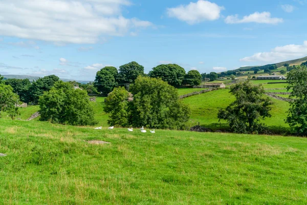 Hermoso Paisaje Rural Yorkshire Dales Alrededor Hawes North Yorkshire Reino — Foto de Stock