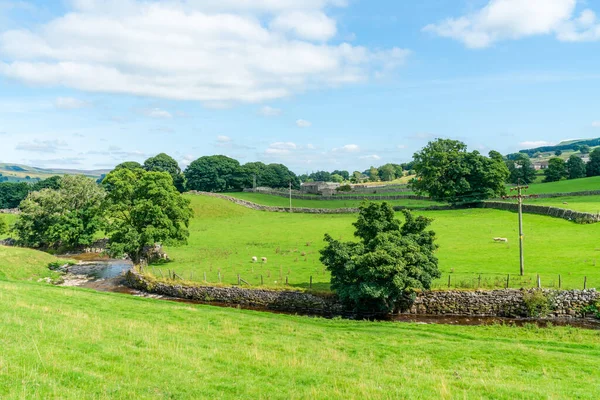 Hermoso Paisaje Rural Yorkshire Dales Alrededor Hawes North Yorkshire Reino — Foto de Stock