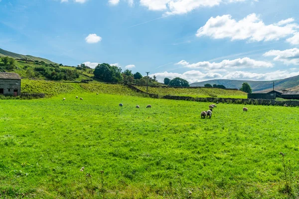 Vackert Lantligt Landskap Yorkshire Dales Runt Hawes North Yorkshire Storbritannien — Stockfoto