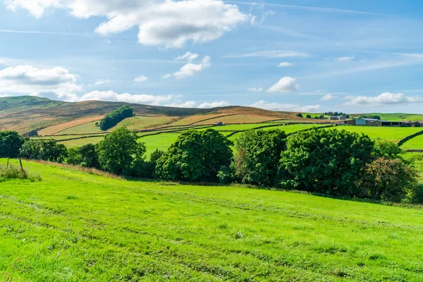 Hermoso Paisaje Rural Yorkshire Dales Cerca Hawes North Yorkshire Reino — Foto de Stock