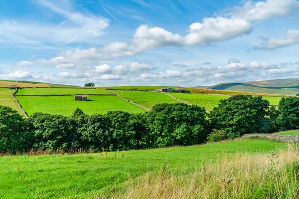 Hermoso Paisaje Rural Yorkshire Dales Cerca Hawes North Yorkshire Reino — Foto de Stock