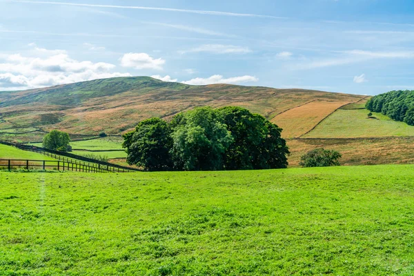 Hermoso Paisaje Rural Yorkshire Dales Cerca Hawes North Yorkshire Reino — Foto de Stock