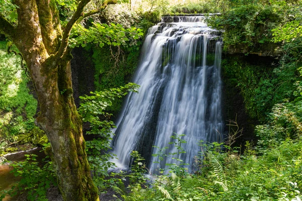 Aysgill Force Waterfall Hawes Yorkshire Dales — Stock Photo, Image