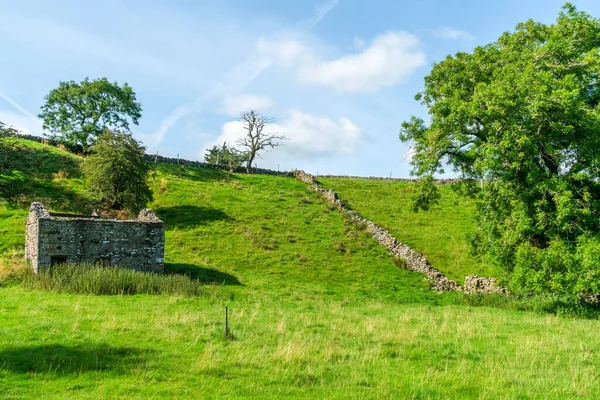 Hawes North Yorkshire Ngiltere Yakınlarındaki Yorkshire Dales Güzel Bir Kırsal — Stok fotoğraf