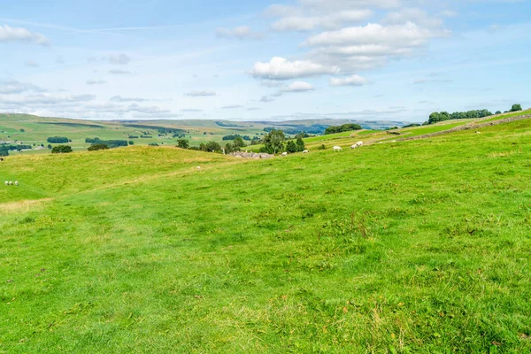 Krásná Venkovská Krajina Yorkshire Dales Hawes Severní Yorkshire Velká Británie — Stock fotografie