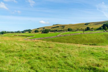 Hawes, North Yorkshire, İngiltere yakınlarındaki Yorkshire Dales 'de güzel bir kırsal alan.