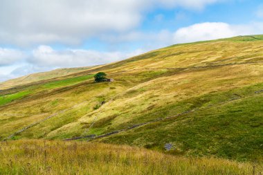 Yorkshire Dales, Kuzey Yorkshire, İngiltere 'de güzel bir kırsal alan.