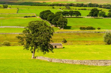 Yorkshire Dales, Kuzey Yorkshire, İngiltere 'de güzel bir kırsal alan.