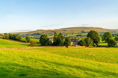 Hawes yakınlarındaki güzel kırsal alan Yorkshire Dales, Kuzey Yorkshire, İngiltere