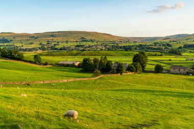 Hawes yakınlarındaki güzel kırsal alan Yorkshire Dales, Kuzey Yorkshire, İngiltere