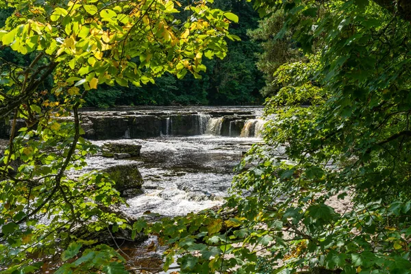 Aysgarth Wasserfall Yorkshire Dales Großbritannien — Stockfoto