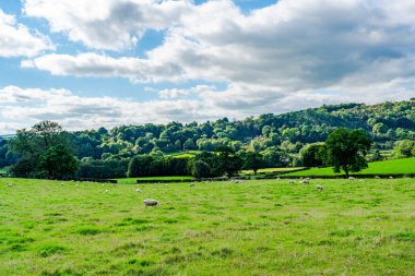 Peak District, Derbyshire İngiltere 'de kırsal alan