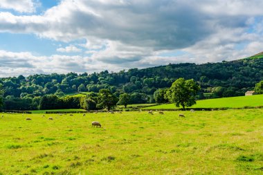 Peak District, Derbyshire İngiltere 'de kırsal alan