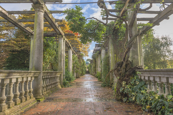 Pergola in autumn park