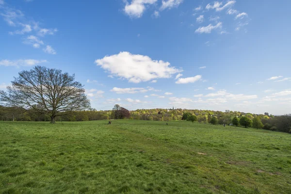 Parliament Hill v Hampstead Heath park, Londýn, Anglie, Velká Británie — Stock fotografie