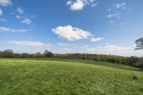 Parliament Hill in Hampstead Heath park, London, England, UK — Stock Photo, Image