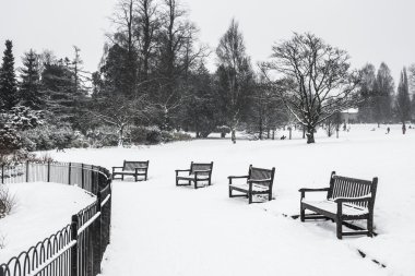 Kış kar battaniyeye örtülü park
