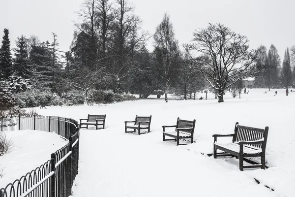 Winter park bedekt met een deken van sneeuw — Stockfoto