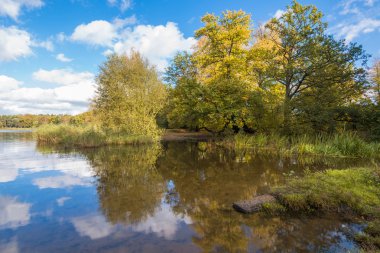 Bir göl sonbahar parkta