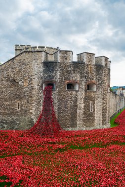 Haşhaş - sanat Instalation Tower, Londra, İngiltere