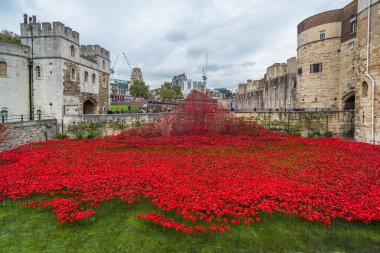 Haşhaş - sanat Instalation Tower, Londra, İngiltere