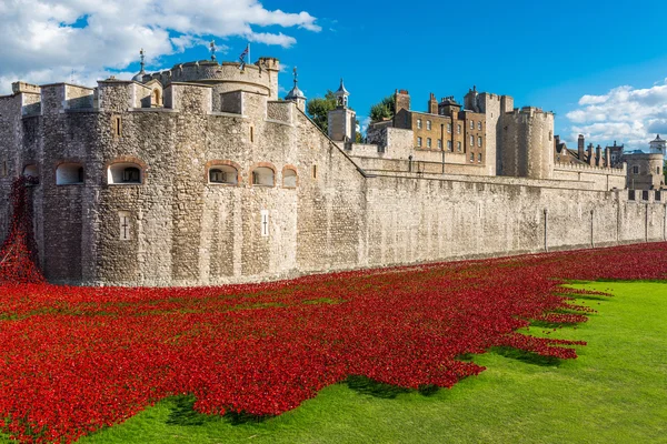 Poppies - instalación de arte en Tower of London, Reino Unido — Foto de Stock