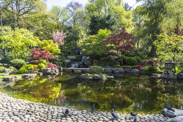 Holland Park, Londra, İngiltere