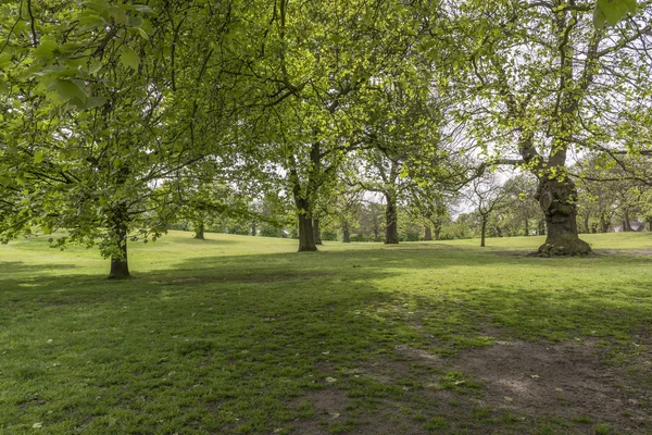 Park Greenwich w Londynie — Zdjęcie stockowe