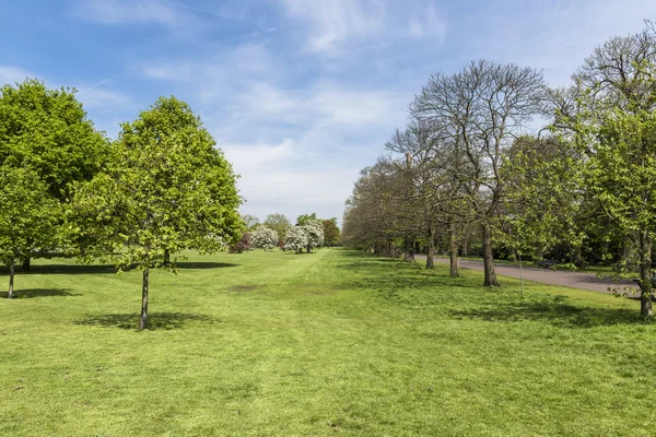 Greenwich park i London Uk — Stockfoto