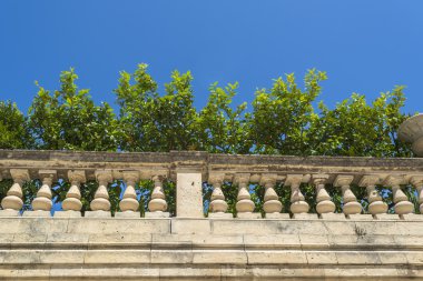 Limon ağaçları piskoposluk Sarayı Syracuse '