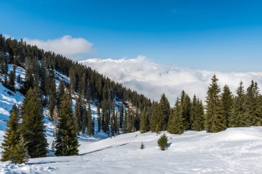 Avusturya Alplerinde, Mayrhofen Kayak Merkezi