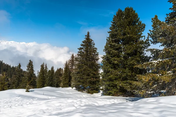 Avusturya Alplerinde, Mayrhofen Kayak Merkezi