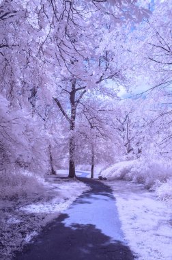 Park - kızılötesi yatay bir yol