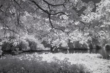 St James Park, Londra İngiltere - kızılötesi siyah beyaz manzara