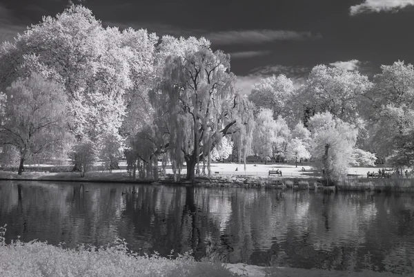 St James Park, Londres Reino Unido - Paisaje blanco y negro infrarrojo — Foto de Stock