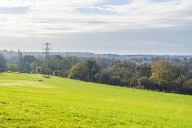 Croxley Green, Herdfordshire 'da açık arazi manzarası.