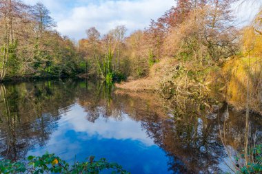 Highgate, Londra, İngiltere 'deki Waterlow Park' ta küçük bir gölet.