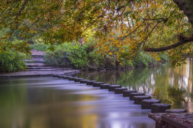 Nehri köstebek basamak taşları