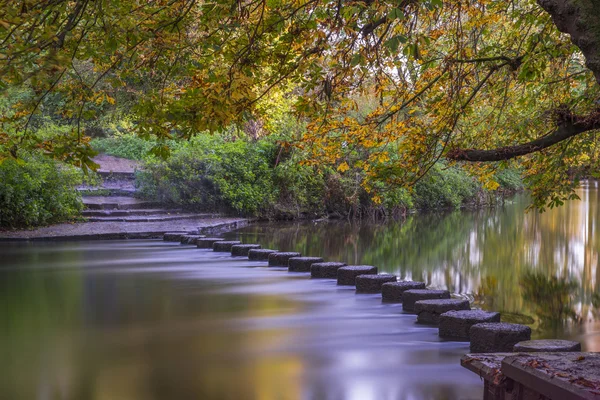 Камінчиками над річкою моль — стокове фото