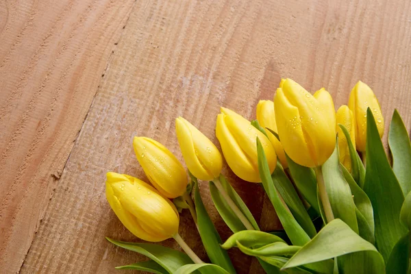 Žlutý Tulipán kytice, samostatný . — Stock fotografie