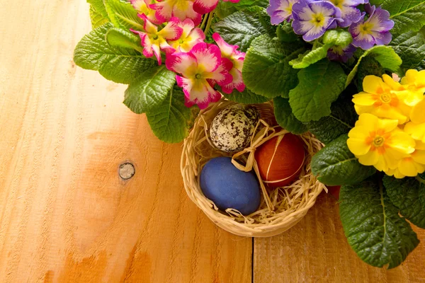 Easter basket with colored eggs and primrose. — Stock Photo, Image