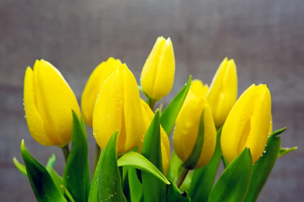 Gelber Tulpenstrauß isoliert . — Stockfoto