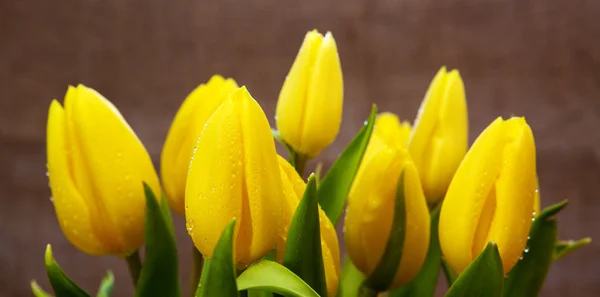 Ramo de tulipán amarillo aislado  . — Foto de Stock
