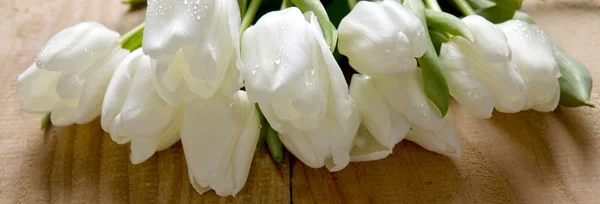 Tulipano bianco bouquet isolato  . — Foto Stock