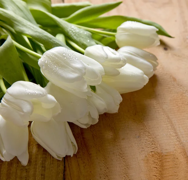 Weißer Tulpenstrauß isoliert . — Stockfoto