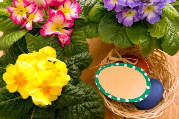 Easter basket with colored eggs and primrose. — Stock Photo, Image